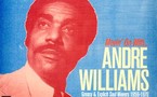 Andre Williams - Greasy and Explicit Soul Movers 1956-1970